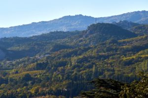 Жилье для командировки в Алупку. 