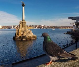Апартаменты у моря в Севастополе. 